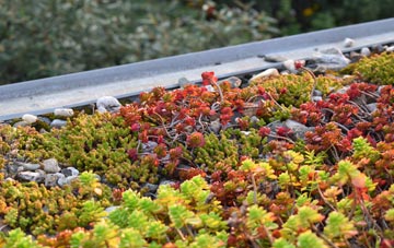 the cost of Claonaig green roof installation