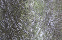 Claonaig fibreglass roof work